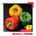 SPAR Qatar Offers  2020