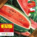 Village Markets Qatar Offers 2022