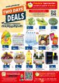 Panda Hypermarket Qatar Offers  2024