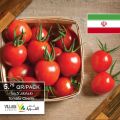 عروض اسواق القرية قطر 2020