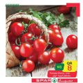 عروض سبار قطر 2020