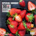 SPAR Qatar Offers  2020