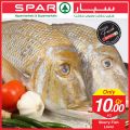 SPAR Qatar Offers  2019