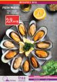 عروض مونبرى قطر