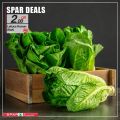 SPAR Qatar Offers  2020
