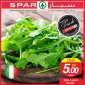 عروض سبار قطر  2019