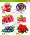 Safari Hypermarket Qatar Offers 2025