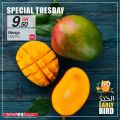 SPAR Qatar Offers  2020