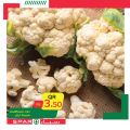عروض سبار قطر 2020