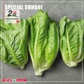SPAR Qatar Offers  2020