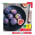 عروض سبار قطر 2020