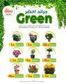 Grand Mall Qatar offers 2025