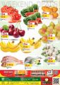 Panda Hypermarket Qatar Offers  2020