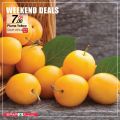 SPAR Qatar Offers  2020