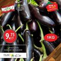 Village Markets Qatar Offers 2021