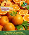 عروض أسواق القرية قطر 2023