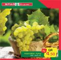 عروض سبار قطر 2020