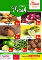 Grand Hypermarket Ezdan Mall QATAR Offers