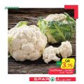 عروض  سبار قطر  2020