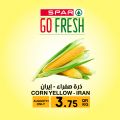 Spar Hypermarket Qatar offers 2021