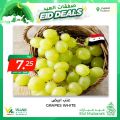 عروض أسواق القرية قطر 2022