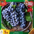 Village Markets Qatar Offers 2021
