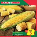 SPAR Qatar Offers  2020