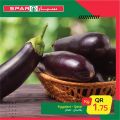 spar qatar offers 2020