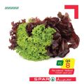 عروض سبار قطر 2020