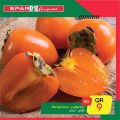 SPAR Qatar Offers  2020