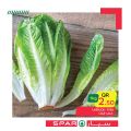 عروض سبار قطر 2020