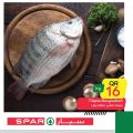 عروض سبار قطر 2020