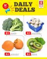 Safari Hypermarket Qatar Offers 2023