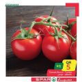 SPAR Qatar Offers  2020