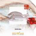 paris hypermarket qatar offers 2021