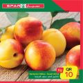 Spar Hypermarket Qatar offers 2021