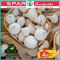 عروض سبار قطر  2019