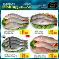 Offers Tuesday for fishing -  masskar hyper market Qatar