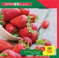 SPAR Qatar Offers  2021