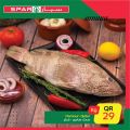 spar hypermarket qatar 2021