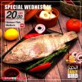 SPAR Qatar Offers  2020