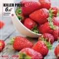 SPAR Qatar Offers  2020
