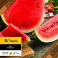 Village Markets Qatar Offers 2021