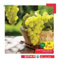 SPAR Qatar Offers  2020