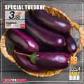 SPAR Qatar Offers  2020
