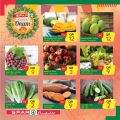 عروض سبار قطر 2020