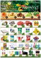 Panda Hypermarket Qatar offers 2019