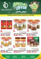 QCC Qatar offers 2025