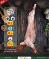 عروض الميرة قطر 2025