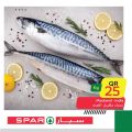 عروض سبار قطر 2020